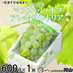 yӂ邳Ɣ[ŁzԂǂ 2026N s\ }XJbg EIuEALThA 600g×1[ 6{`7{ uhE  RY Y t[c ʕ Mtg R̂Ԃǂ Lȍ 