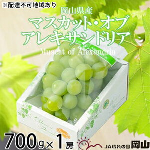 yӂ邳Ɣ[ŁzԂǂ 2026N s\ }XJbg EIuEALThA 700g×1[ uhE  RY Y t[c ʕ Mtg R̂Ԃǂ Lȍ fU[g H @͂