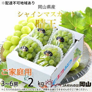 yӂ邳Ɣ[ŁzԂǂ 2025N s\ ƒp VC }XJbg  3`6[ 2kg uhE  RY Y t[c ʕ R̂Ԃǂ {̃t[c {̉ʕ 嗱 햳 @