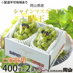 yӂ邳Ɣ[Łz8{`11{ 400g×2[ 2025N s\ VC }XJbg  Ԃǂ uhE  RY Y t[c ʕ R̂Ԃǂ {̃t[c {̉ʕ 嗱 햳 