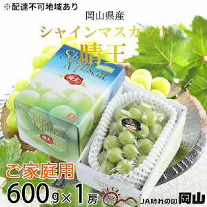 yӂ邳Ɣ[ŁzԂǂ 2025N s\ ƒp VC }XJbg  600g×1[ uhE  RY Y t[c ʕ R̂Ԃǂ {̃t[c {̉ʕ 嗱 햳 @͂