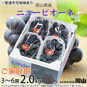 yӂ邳Ɣ[Łz8{`9{ 3`6[ 2kg Ԃǂ 2025N s\ j[ sI[l uhE ƒp  RY Y t[c ʕ R̂Ԃǂ {̃t[c {̉ʕ 嗱 햳