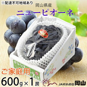 yӂ邳Ɣ[ŁzԂǂ 2025N s\ ƒp j[ sI[l 600g×1[ uhE  RY Y t[c ʕ R̂Ԃǂ {̃t[c {̉ʕ 嗱 햳 @͂F2025N8