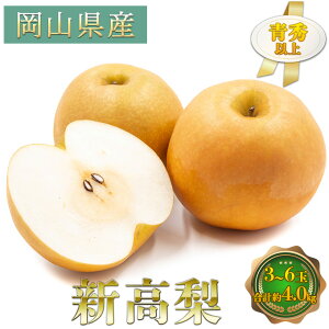 yӂ邳Ɣ[Łz 2026N s\ V 3`6 Gȏ v4.0kg  Ȃ ʕ t[c RY ϔ 傫 `  ̉l  Â ݂݂ i  VV