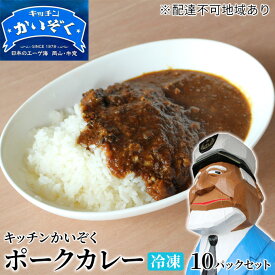 【ふるさと納税】冷凍 ポーク カレー 10パック セット キッチンかいぞく 岡山 B級グルメ　【 加工品 惣菜 伝統的 ソウルフード あっさり コク 電子レンジ 簡単 便利 】