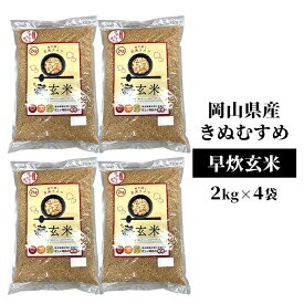 【ふるさと納税】早炊 玄米 岡山県産 きぬむすめ 2kg×4袋 お米 国内産　【 ご飯 おにぎり お弁当 和食 国産 産地直送 玄米食 玄米の栄養素 】