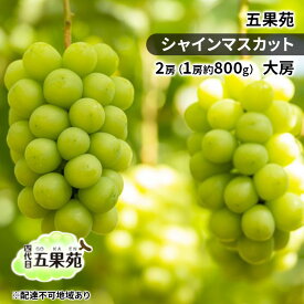 【ふるさと納税】ぶどう 2025年 先行予約 シャインマスカット 2房（1房約800g） 大房 ぶどう フルーツ 果物 贈り物 ギフト 岡山 五果苑 岡山のぶどう 岡山の果物 岡山のフルーツ 産地直送 種なし 皮ごと 　お届け：2025年9月中旬～2025年10月下旬