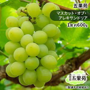 yӂ邳Ɣ[ŁzԂǂ 2025N s\ }XJbgEIuEALThA 1[ 600g Ԃǂ t[c ʕ 蕨 Mtg R ܉ʉ @͂F2025N9{`2025N10{