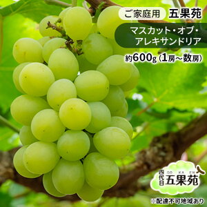 yӂ邳Ɣ[ŁzԂǂ 2026N s\ ƒp }XJbgEIuEALThA 600gi1[`[j Ԃǂ t[c ʕ R ܉ʉ @͂F2026N9{`2026N10{