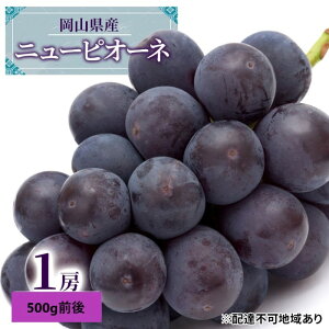 【ふるさと納税】ぶどう 2026年 先行予約 ニュー ピオーネ 1房 500g前後 ブドウ 葡萄 岡山県産 国産 フルーツ 果物 ギフト 果物類 巨峰  お届け:2026年7月上旬〜2026年9月上旬