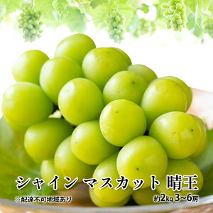 yӂ邳Ɣ[ŁzԂǂ 2025N s\ VC }XJbg  2kg 3`6[ 햳 uhE  RY Y t[c ʕ Mtg fU[g ʎ  嗱 x 炲 pb e