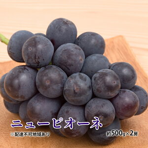 yӂ邳Ɣ[ŁzԂǂ 2025N s\ j[ sI[l 500g×2[ 햳 uhE  RY Y t[c ʕ Mtg fU[g ʎ  嗱 x 炲 H׉ F Â 