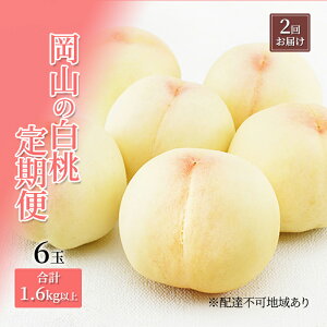 yӂ邳Ɣ[Łz  2026N s\ R   6 v1.6kgȏ×2 ͂ ϔ   RY Y t[c ʕ Mtg @͂F2026N7{`2026N8{