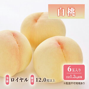 yӂ邳Ɣ[Łz 2026N s\  : C x12.0xȏ 6ʓ v1.2kgO   RY Y t[c ʕ Mtg fU[g ʎ  炪 _炩F  