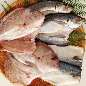 【ふるさと納税】瀬戸内の魚でつくる 干物 6枚入りBOX　【瀬戸内市】