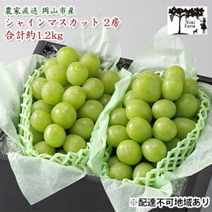 yӂ邳Ɣ[ŁzԂǂ 2025N s\ yϓx20xz _Ƃ VC }XJbg 2[ v1.2kg NX uhE  RY Y t[c ʕ Mtg y Nini farm _ 