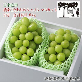【ふるさと納税】ぶどう 2026年 先行予約 【平均糖度20度】 ご家庭用 農家こだわりの シャイン マスカット 2房 合計約1.0kg ブドウ 葡萄 岡山県産 国産 フルーツ 果物 【 Nini farm 農家 直送 】 　お届け：2026年9月16日～2026年10月25日