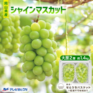 yӂ邳Ɣ[ŁzԂǂ 2026N s\ VC}XJbg [ 2[ 1.4kg uhE  RY Y t[c ʕ IƂoXPbg @͂F2026N9`2026N10{