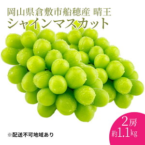 yӂ邳Ɣ[ŁzԂǂ 2025N s\ yv~AVC}XJbg  2[ v1.1kg zDY ԏGiȏ RY  uhE Mtg nmt[c 炲ƐHׂ ݂݂