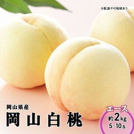 【ふるさと納税】桃 2025年 先行予約 岡山 白桃 エース 5～10玉 2kg 岡山県産 JAおかやまのもも モモ 岡山県産 国産 フルーツ 果物 ギフト 　お届け：2025年7月上旬～2025年8月下旬
