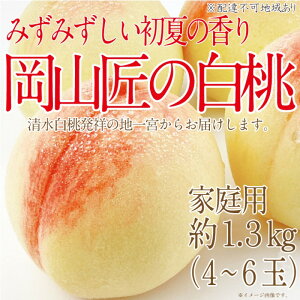 �y�ӂ邳�Ɣ[�Łz���� 2026�N ��s�\�� ���R���̔��� ��1.3kg 4�`6�� ���˔_�� ���R���Y �� ���� �ƒ�p ���� �݂��݂����� �@���͂��F2026�N6��25���`2026�N8��14��