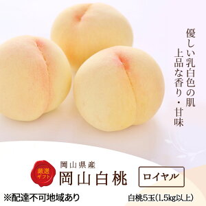 yӂ邳Ɣ[Łz 2026N s\  5 (1.5kgȏ) FC ؔ   RY Y t[c ʕ Zbg Mtg @͂F2026N7{`2026N8{