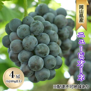 yӂ邳Ɣ[ŁzԂǂ 2026N s\ j[sI[l4[(1[480gȏ) uhE  RY Y t[c ʕ Mtg @͂F2026N8{`2026N10{