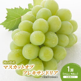 【ふるさと納税】ぶどう 2026年 先行予約 マスカットオブアレキサンドリア 1房(600g以上・秀品以上) 化粧箱入り　お届け：2026年7月中旬～2026年8月中旬