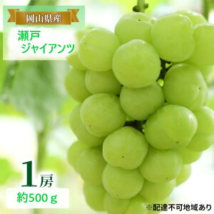 yӂ邳Ɣ[ŁzԂǂ y2025N tz ˃WCAc 1[ 500g uhE  RY Y t[c ʕ Mtg@͂F2025N820`2025N1020