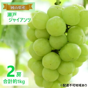 yӂ邳Ɣ[ŁzԂǂ y2025N tz ˃WCAc 2[ v1kg uhE  RY Y t[c ʕ Mtg@͂F2025N820`2025N1020