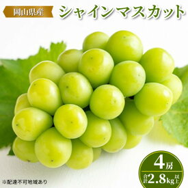 【ふるさと納税】ぶどう 【2026年 先行予約】 シャインマスカット 4房(合計2.8kg以上) マスカット ブドウ 葡萄 岡山県産 国産 フルーツ 果物 ギフト　お届け：2026年8月中旬～2026年11月上旬