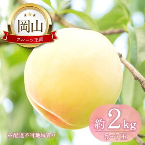 yӂ邳Ɣ[Łz y2026N s\z ̍    2kg(5ʁ`7)   RY Y t[c ʕ Mtg@͂F2026N7{`2026N8{