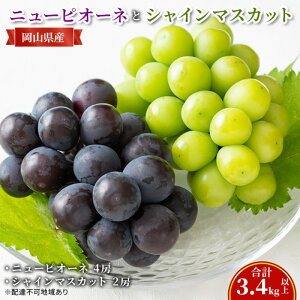 yӂ邳Ɣ[ŁzԂǂ y2025N s\z j[ sI[l 4[ VC}XJbg 2[(v3.4kgȏ) }XJbg uhE @RY Y t[c ʕ Mtg@͂F2025N8