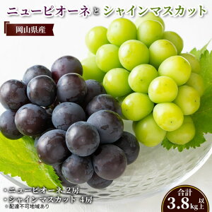 yӂ邳Ɣ[ŁzԂǂ y2025N s\z j[ sI[l 2[ VC}XJbg 4[(v3.8kgȏ) }XJbg uhE  RY Y t[c ʕ Mtg@͂F2025N8