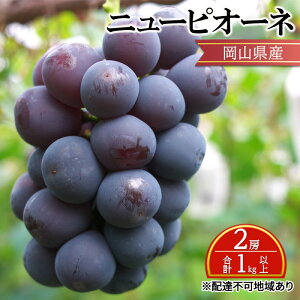 【ふるさと納税】ぶどう 【2026年 先行予約】 ニュー ピオーネ 2房 合計1kg以上 ブドウ 葡萄 岡山県産 国産 フルーツ 果物 ギフト お届け:2026年8月下旬〜2026年10月上旬