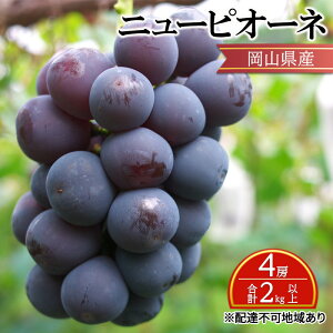 yӂ邳Ɣ[ŁzԂǂ y2026N s\z j[ sI[l 4[ v2kgȏ uhE  RY Y t[c ʕ Mtg@͂F2026N8{`2026N10{