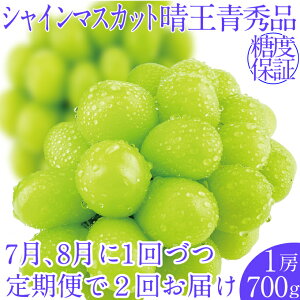 �y�ӂ邳�Ɣ[�Łz2026�N��s�\��y2�����ցz �V���C���}�X�J�b�g����1�[ ��700g 7��8���ɏo�� �l�C ���R���Y �햳�� �炲�ƐH�ׂ� �݂��݂����� �t���b�V�� ����̍� ������� �ʕ��卑 �n��