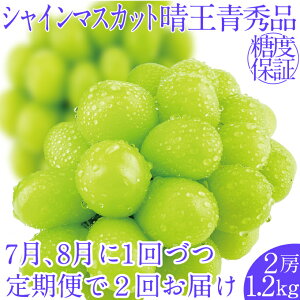 �y�ӂ邳�Ɣ[�Łz2026�N��s�\��y2�����ցz�V���C���}�X�J�b�g����2�[ ��1.2kg 7��8���ɏo�� �l�C ���R���Y �햳�� �炲�ƐH�ׂ� �݂��݂����� �t���b�V�� ����̍� ������� �ʕ��卑 �n��