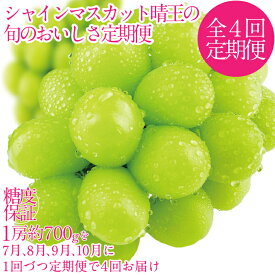 【ふるさと納税】2026年予約受付中 シャインマスカット 晴王 7月8月9月10月に1回づつ出荷 4回 定期便 1房 約700g 人気 岡山県産 種無し 皮ごと食べる みずみずしい フレッシュ 晴れの国 おかやま 果物大国 ハレノフルーツ　お届け：2026年7月中旬～2026年10月下旬