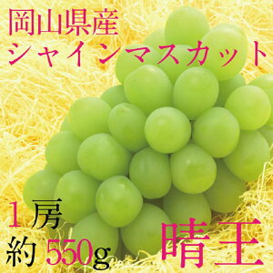 yӂ邳Ɣ[Łz[HS] Ԃǂ 2025N s\ 9E10 VC}XJbg  1[ 550g uhE  RY Y t[c ʕ Mtg@͂F2025N9{`2025N10{