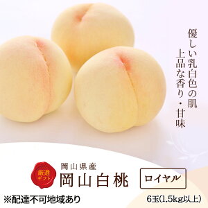 yӂ邳Ɣ[Łz 2026N s\  6(1.5kgȏ)FC ϔ   RY Y t[c ʕ Zbg Mtg@͂F2026N7{`2026N8{