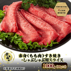 yӂ邳Ɣ[Łzދ`a Ԑg  Ă Ԃ p XCX 1000g (500g×2)     a R ˓s
