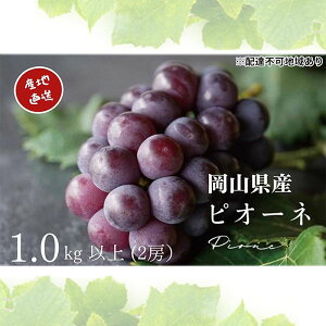 yӂ邳Ɣ[ŁzI j[sI[l 2[ v1.0kgȏ Yn ̂ Ԃǂ  Kawahara Green Farm RY 2026N s\@͂F2026N825`2026N930