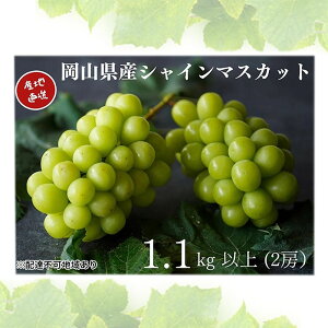 yӂ邳Ɣ[ŁzI VC}XJbg 2[ v1.1kgȏ Yn ̂ Ԃǂ  Kawahara Green Farm RY 2026N s\@͂F2026N91`2026N1031