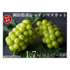 yӂ邳Ɣ[ŁzI VC}XJbg 2`3[ v1.7kgȏ Yn ̂ Ԃǂ  Kawahara Green Farm RY 2025N@͂F2025N9{`2025N10{