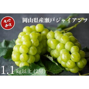 yӂ邳Ɣ[ŁzI ˃WCAc 2[ v1.1kgȏ Yn ̂ Ԃǂ  Kawahara Green Farm RY 2026N s\@͂F2026N911`2026N1020