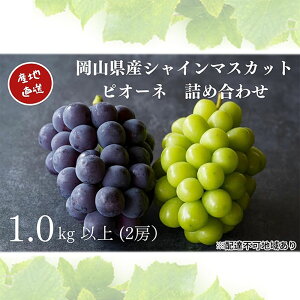 yӂ邳Ɣ[ŁzI VC}XJbgEj[sI[l 2[ v1.0kgȏ l Yn ̂ Ԃǂ  Kawahara Green Farm RY 2026N s\@͂F2026N825`2026N930