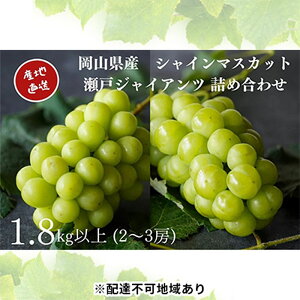 yӂ邳Ɣ[ŁzI VC}XJbgE˃WCAc 2`3[ v1.8kgȏ l Yn ̂ Ԃǂ  Kawahara Green Farm RY 2025N@͂F2025N9{`2025N10{