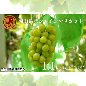 yӂ邳Ɣ[Łz󂠂 VC}XJbg 2[ v1.1kgȏ Yn ̂ Ԃǂ  VC }XJbg R Kawahara Green Farm RY 2026N s\@͂F2026N91`2026N10