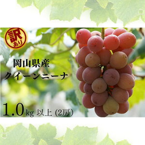 yӂ邳Ɣ[Łz󂠂 NC[j[i 2[ v1.0kgȏ Yn ̂ Ԃǂ  R Kawahara Green Farm RY 2025N@͂F2025N8{`2025N9{